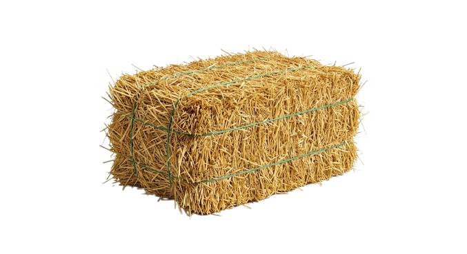 Al Barka Sol Agri Export Banner